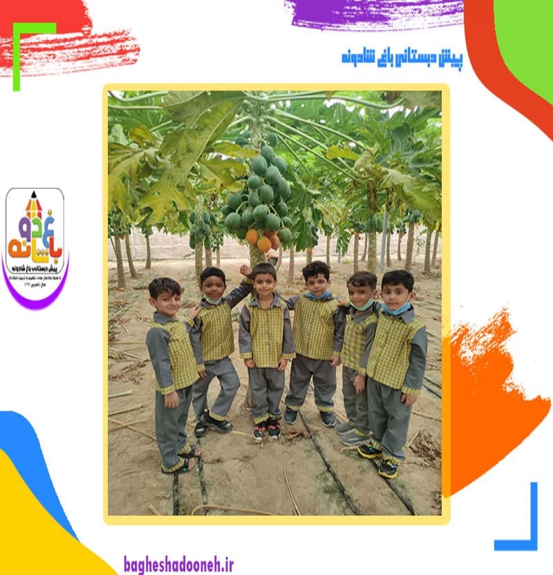 پیش دبستانی باغ شادونه